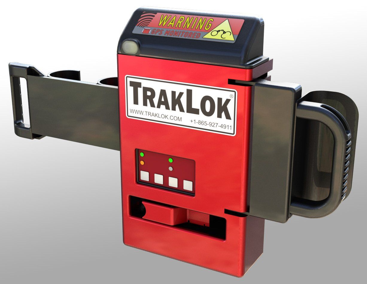GeoLok Intermodal Security Device: photo 1